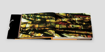 editorial_TCCDCSUFMG_Agua&Fogo_04