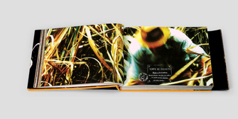 editorial_TCCDCSUFMG_Agua&Fogo_08