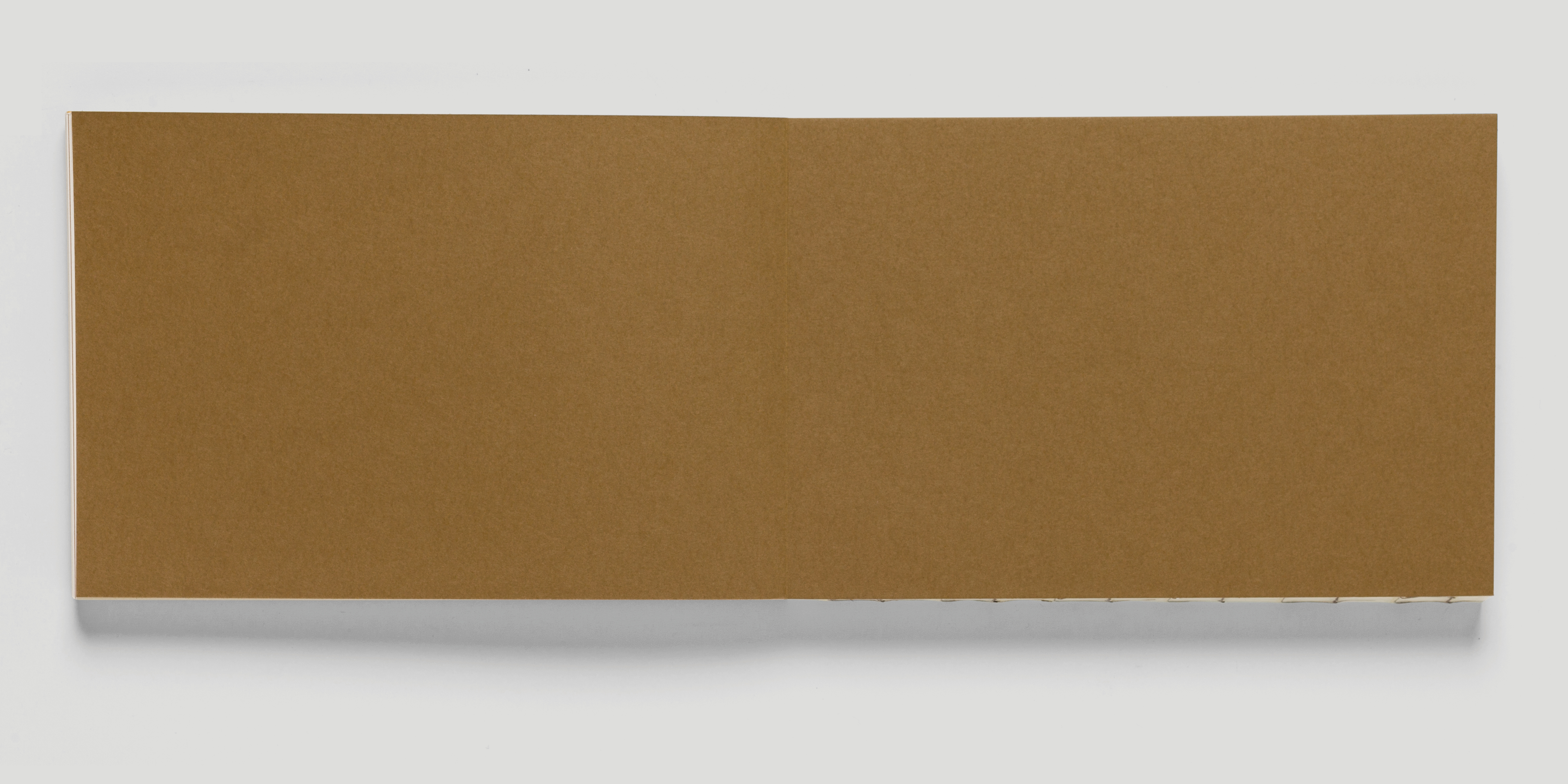 editorial_Miguilim_ArquitetosAssociados_20